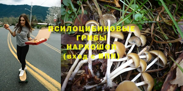 MESCALINE Медногорск