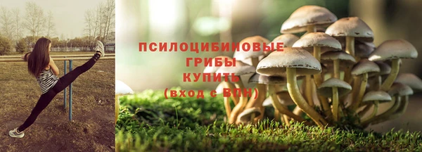 кокс Медвежьегорск