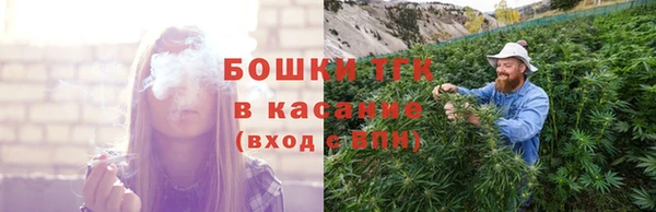 стаф Михайлов