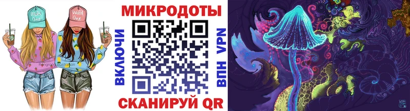 Купить где  Петухово  Псилоцибиновые грибы Cubensis 